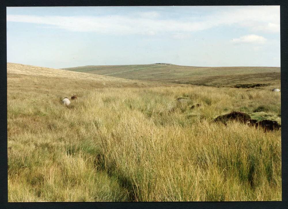 An image from the Dartmoor Trust Archive