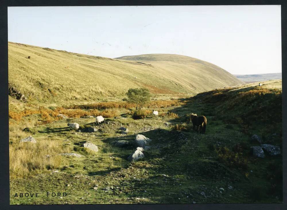 An image from the Dartmoor Trust Archive