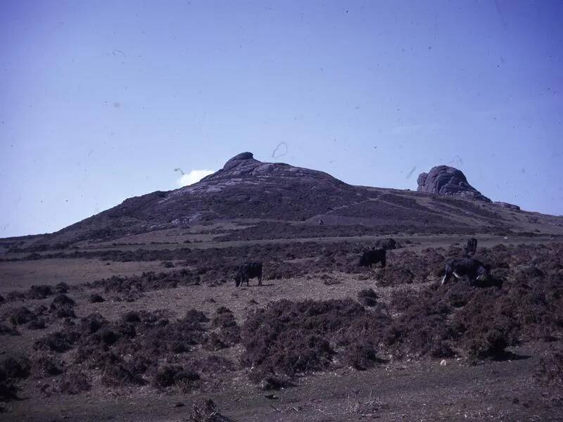 An image from the Dartmoor Trust Archive