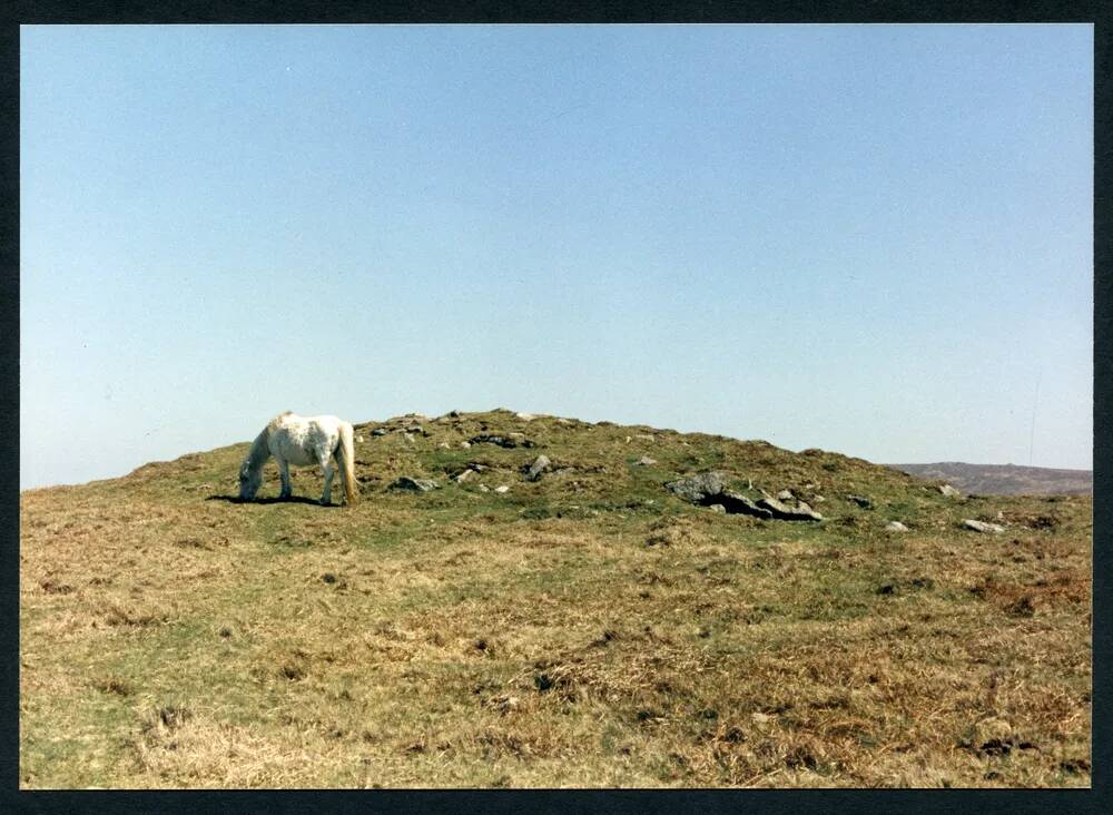 An image from the Dartmoor Trust Archive