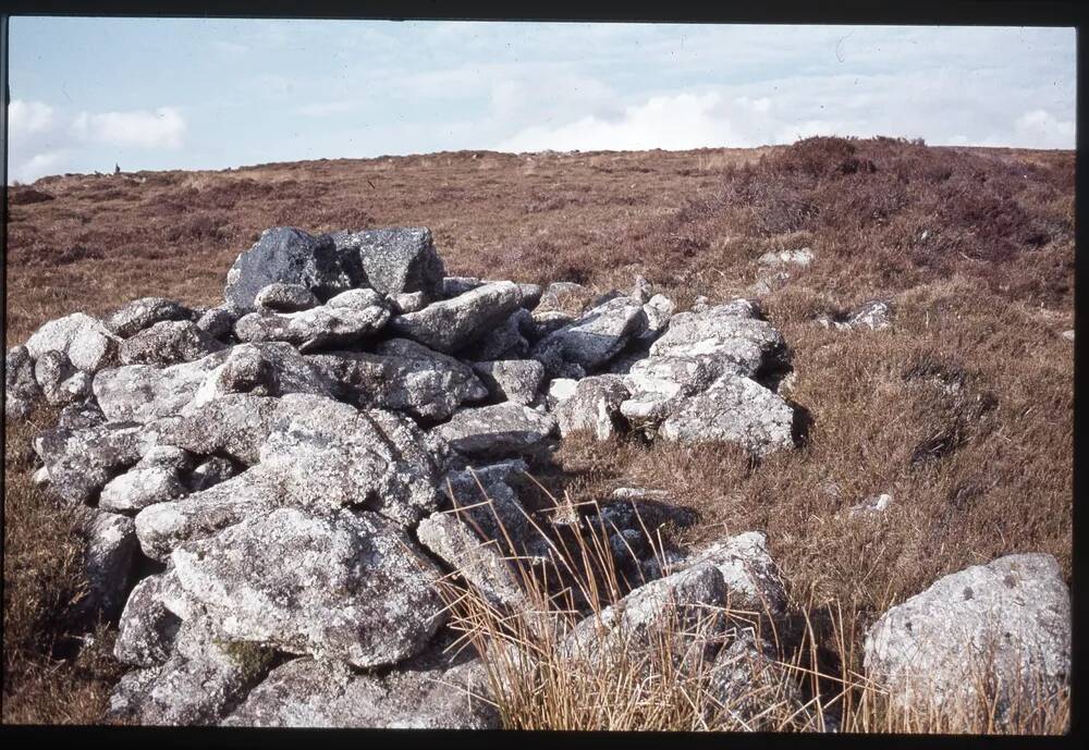 Beehive hut - Renny Brook