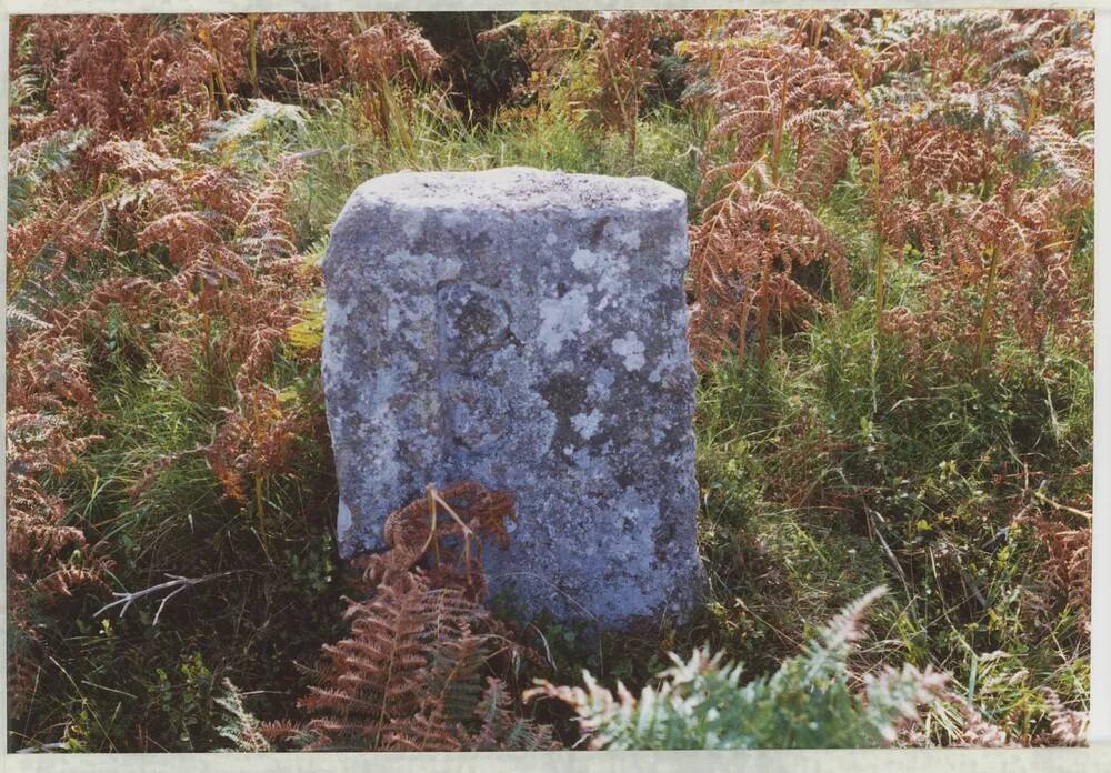 An image from the Dartmoor Trust Archive