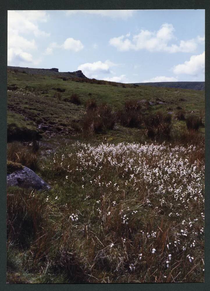 An image from the Dartmoor Trust Archive