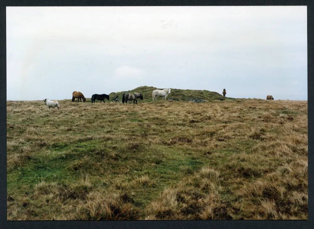 An image from the Dartmoor Trust Archive