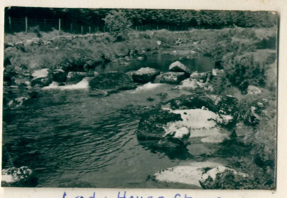 Lady House stepping stones