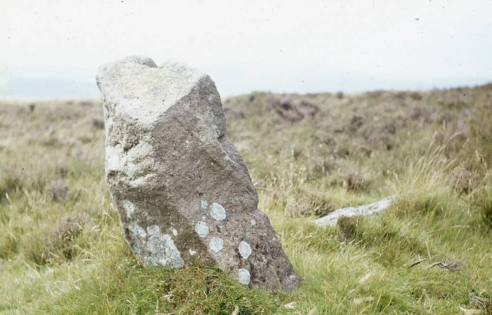 An image from the Dartmoor Trust Archive