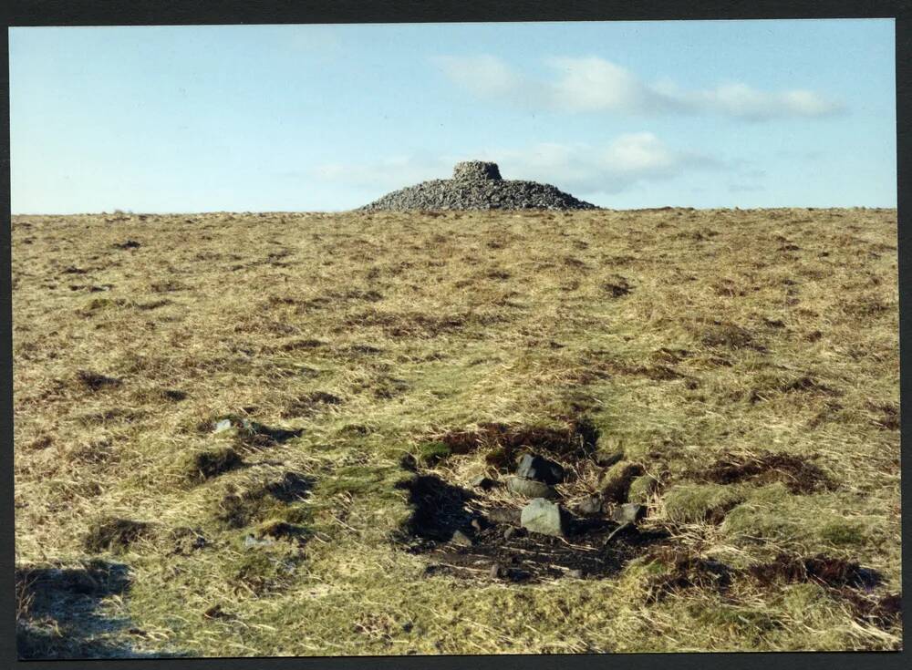 33/4 Eastern Wittaburrow from south 14/1/1994