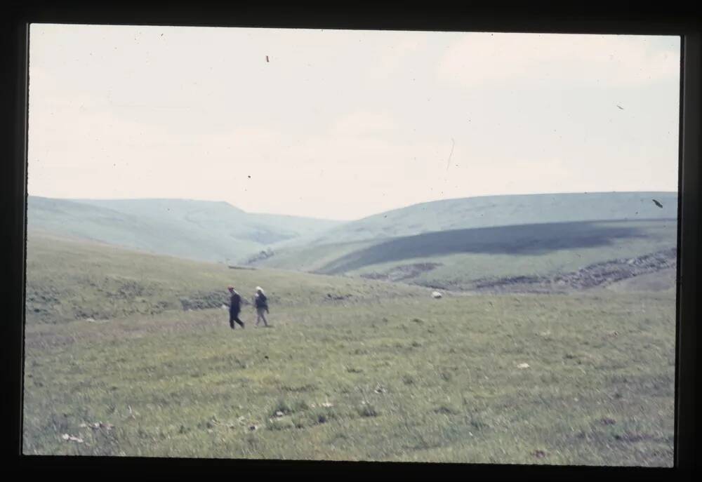 Looking South near Stallmoor