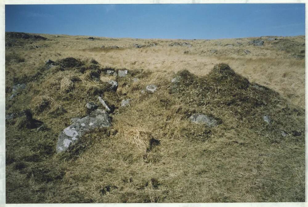 An image from the Dartmoor Trust Archive