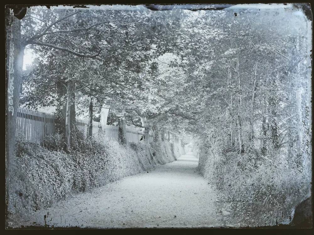 Barton Lane, Dawlish