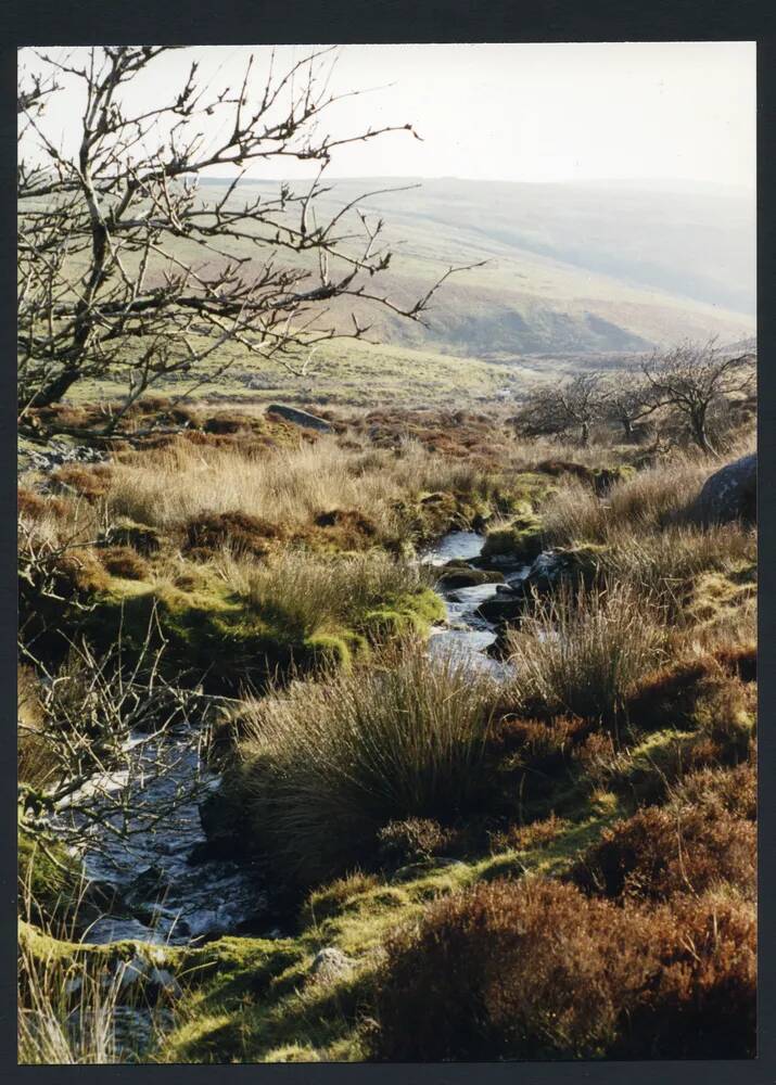 An image from the Dartmoor Trust Archive