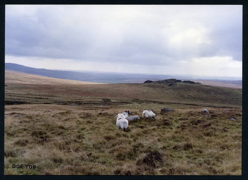 An image from the Dartmoor Trust Archive