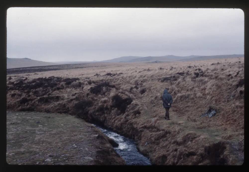 Devonport Leat  near Raddick