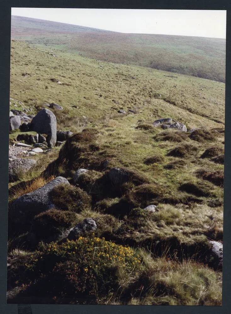 An image from the Dartmoor Trust Archive