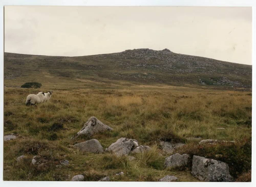 An image from the Dartmoor Trust Archive