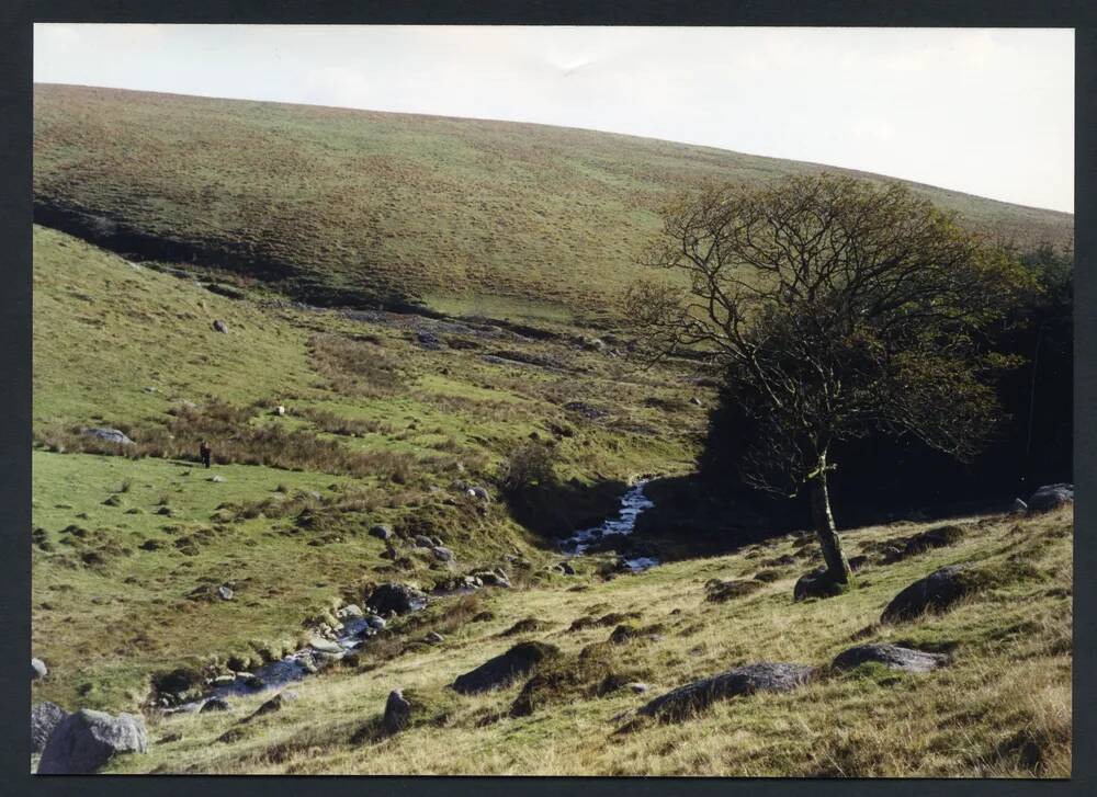 An image from the Dartmoor Trust Archive