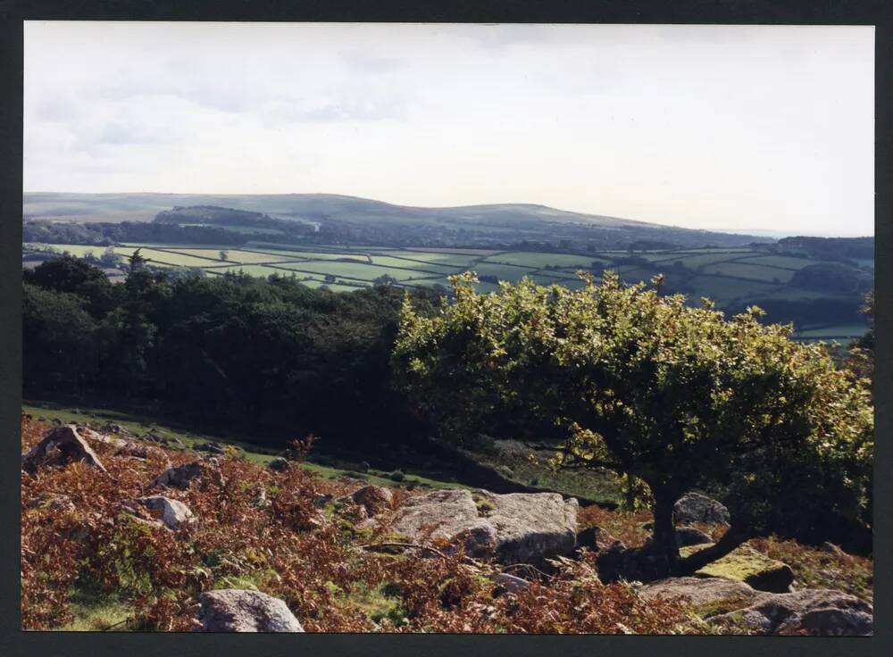 An image from the Dartmoor Trust Archive