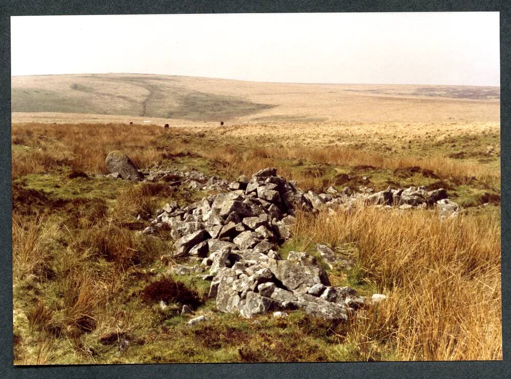 17/19 Tinners Hut (W) slopes of Ryder's Hill 15/4/1991