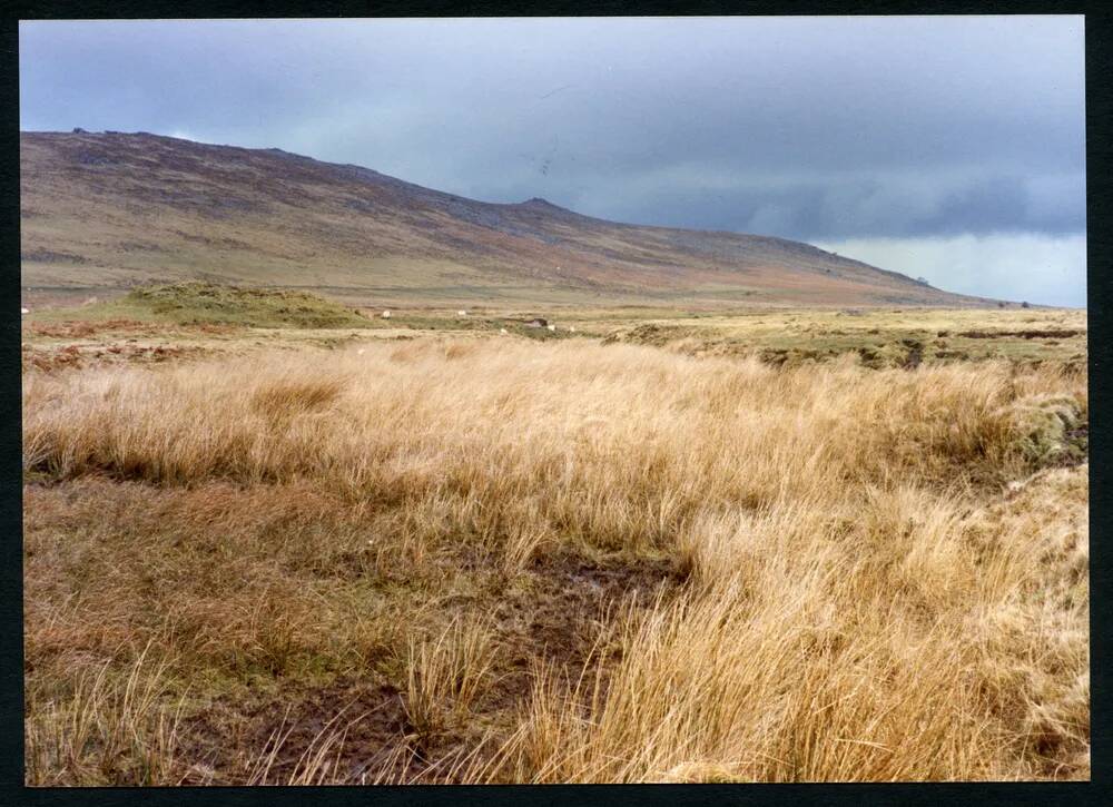 An image from the Dartmoor Trust Archive