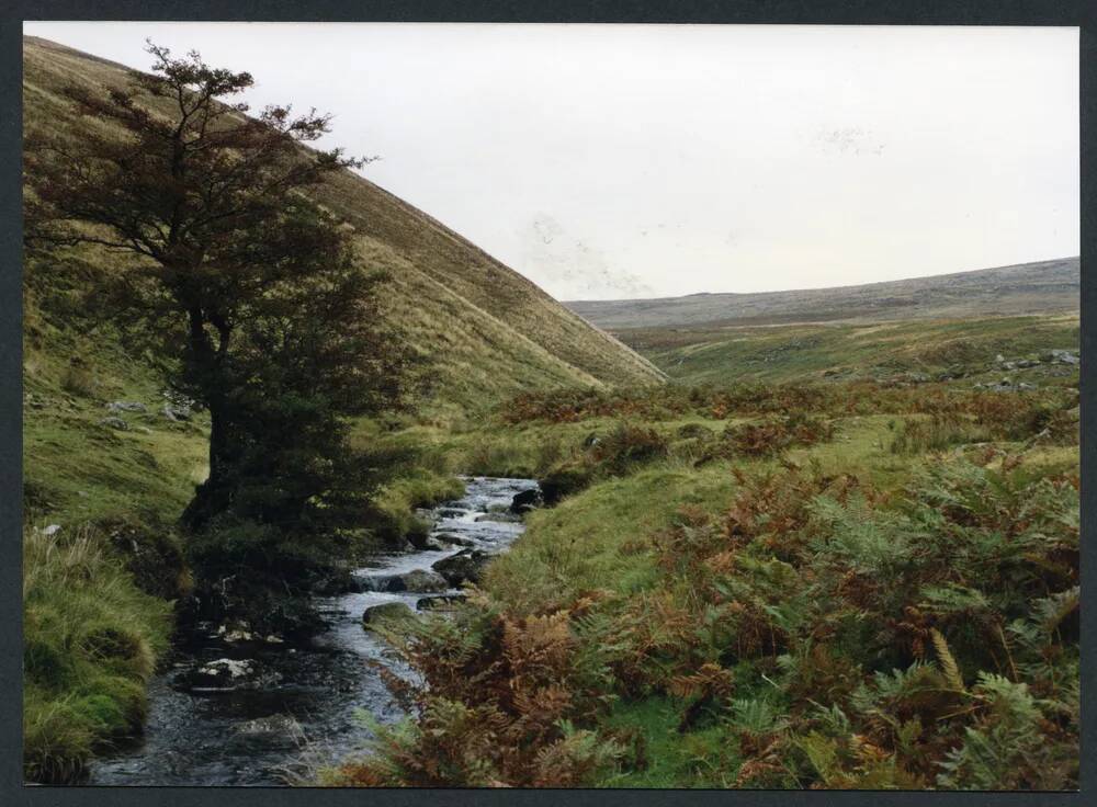 An image from the Dartmoor Trust Archive