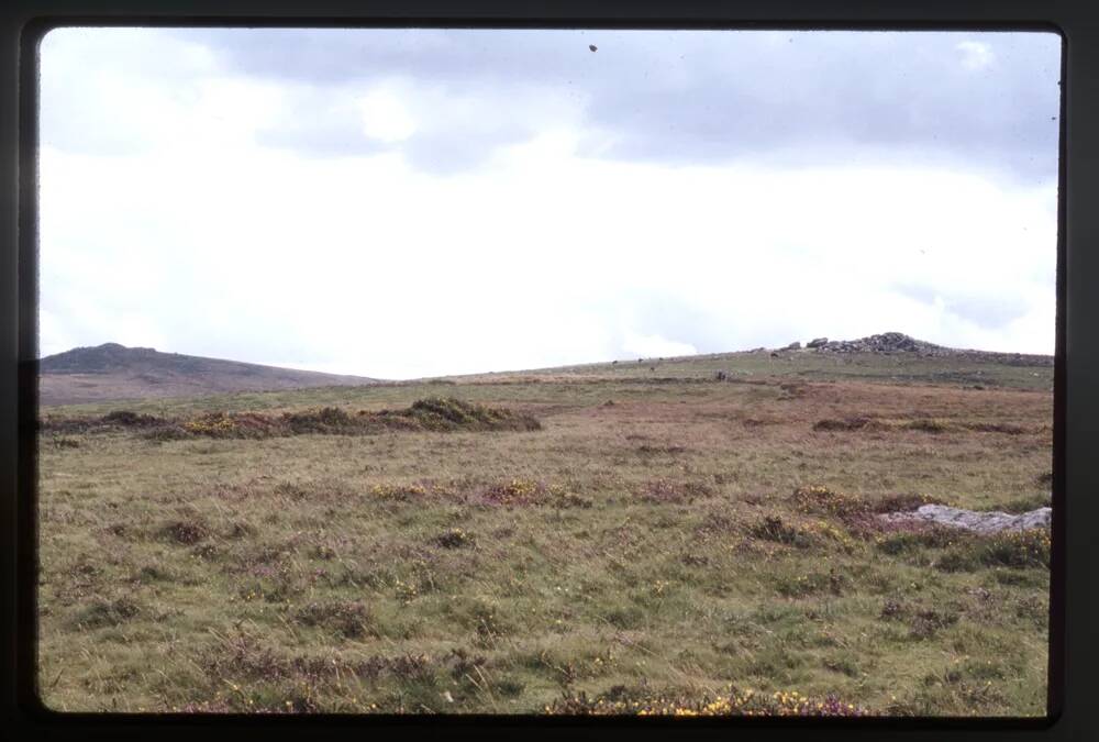 Bury above Wistmans Wood