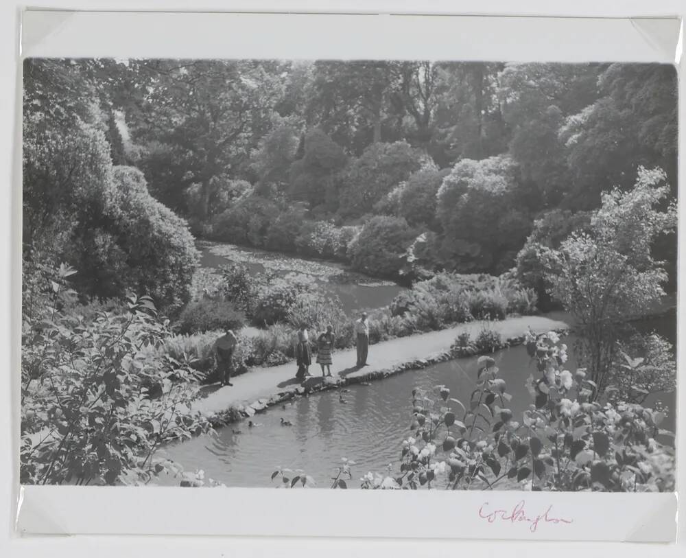 Cockington Lakes