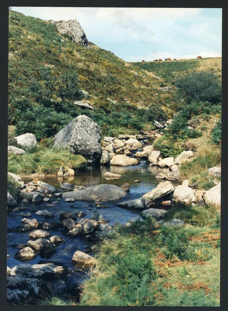 An image from the Dartmoor Trust Archive