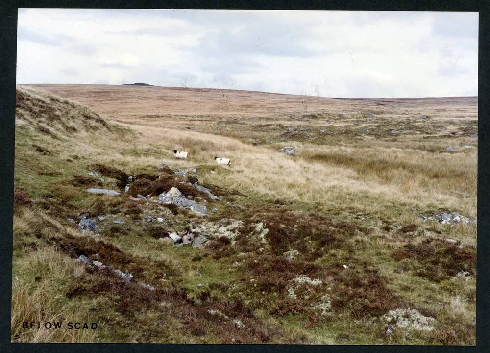 An image from the Dartmoor Trust Archive