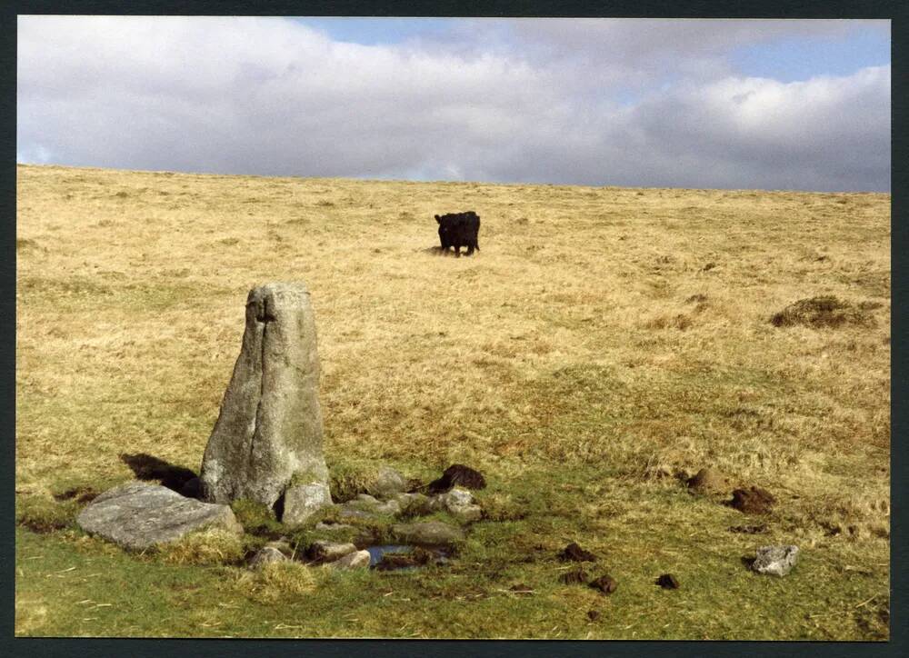 An image from the Dartmoor Trust Archive