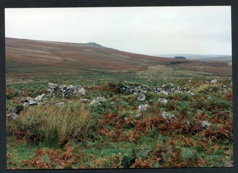 An image from the Dartmoor Trust Archive