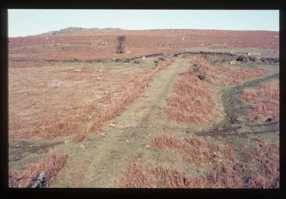 Cable and Incline above Cantrell