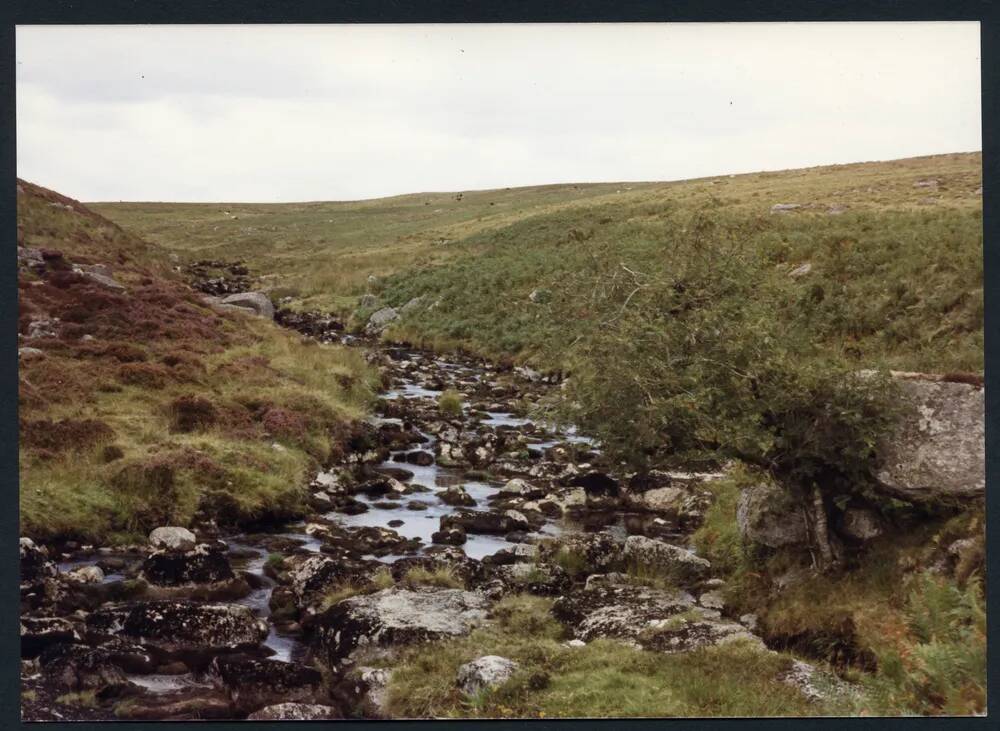 An image from the Dartmoor Trust Archive