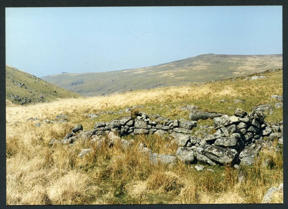 An image from the Dartmoor Trust Archive