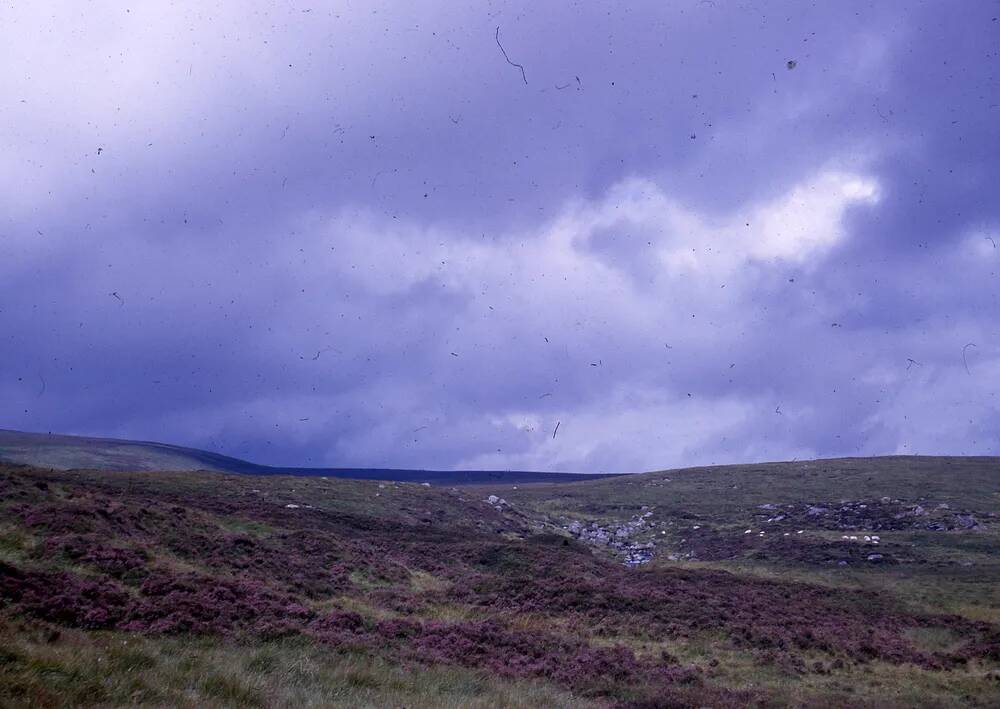 An image from the Dartmoor Trust Archive