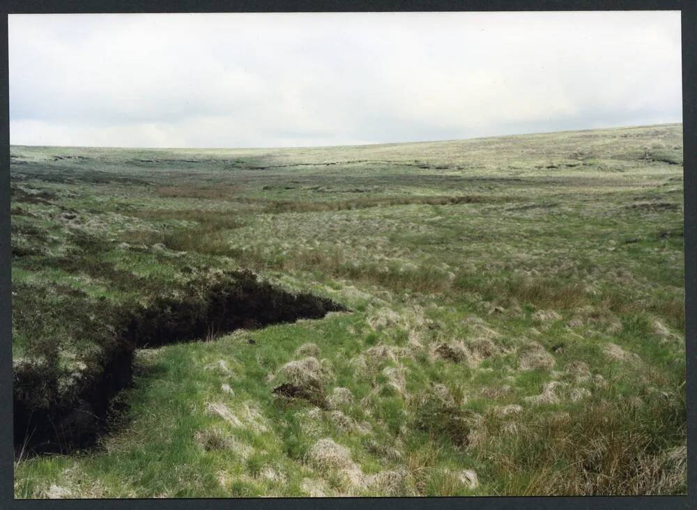 36/29 Source of Cut Hill stream 21/5/1993