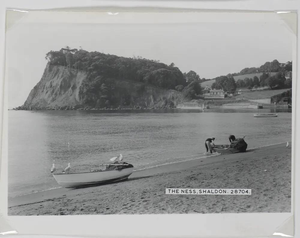 The Ness at Shaldon 