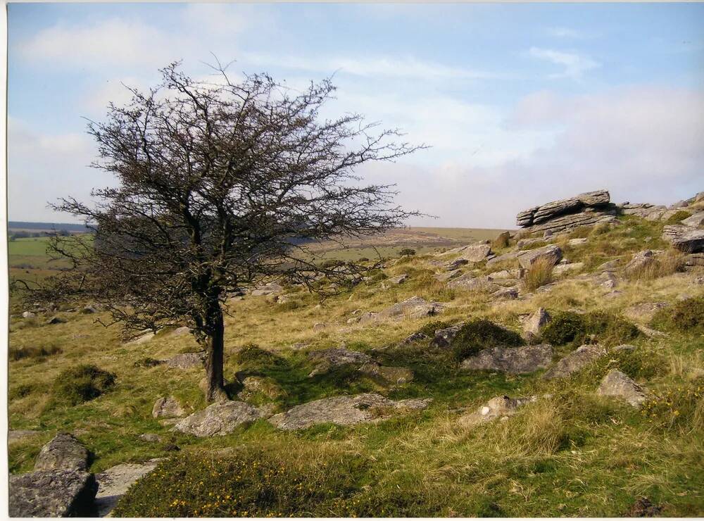 An image from the Dartmoor Trust Archive