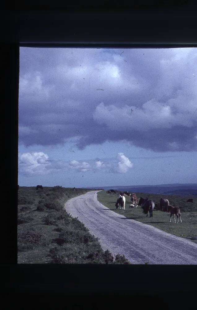 An image from the Dartmoor Trust Archive