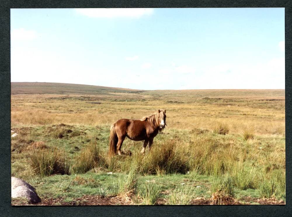 7/59 Aune Head 13/9/1991