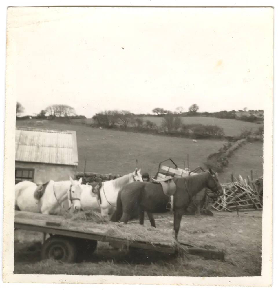 An image from the Dartmoor Trust Archive