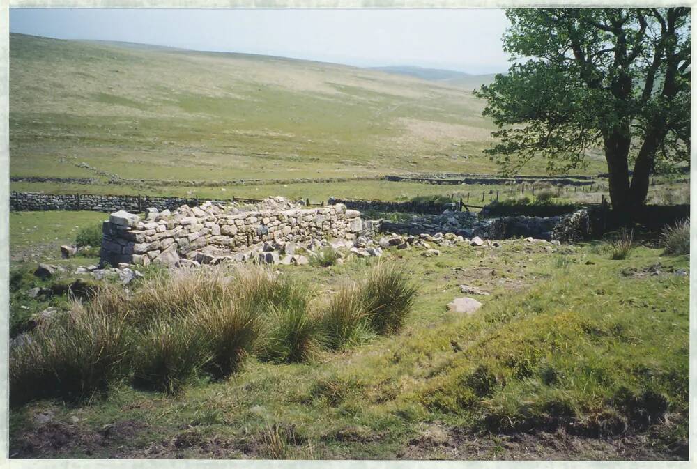 An image from the Dartmoor Trust Archive