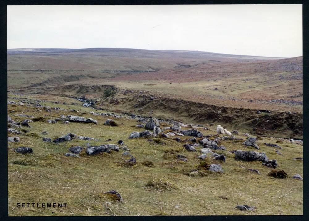 An image from the Dartmoor Trust Archive