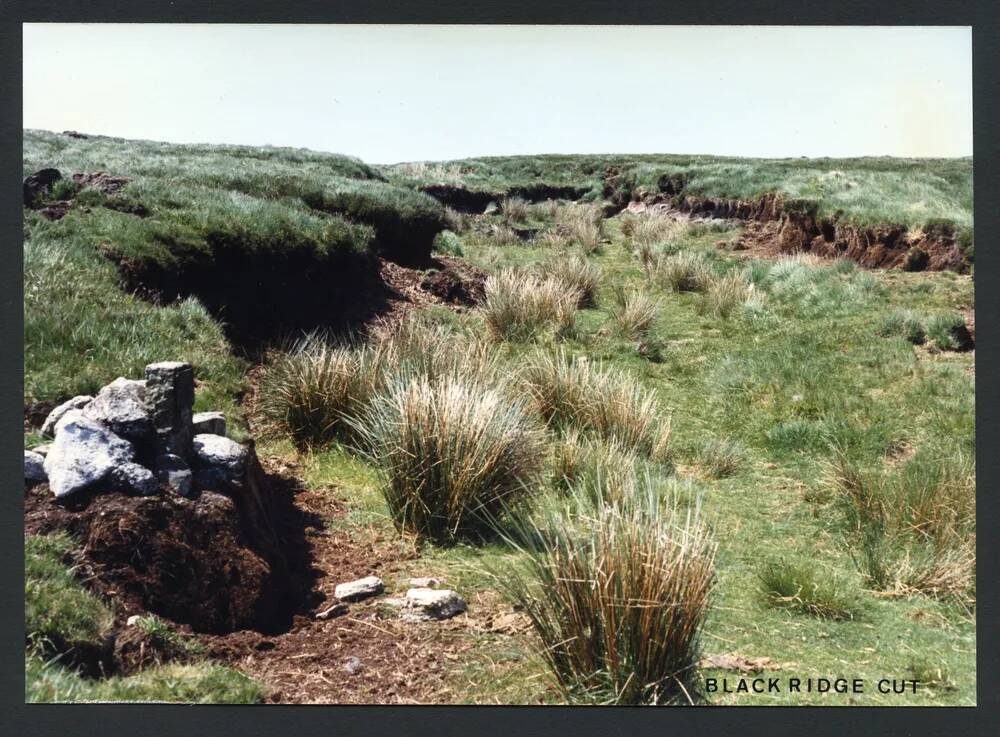 An image from the Dartmoor Trust Archive