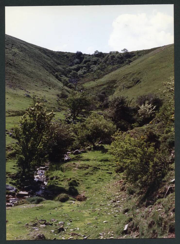 An image from the Dartmoor Trust Archive