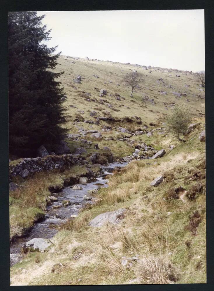 An image from the Dartmoor Trust Archive