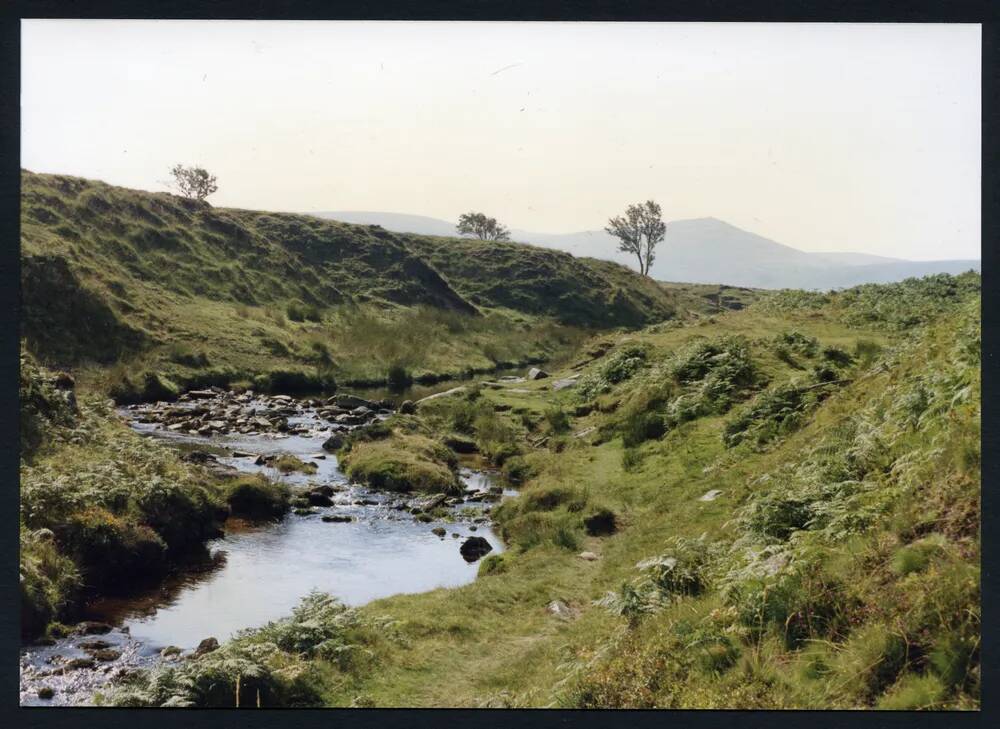 An image from the Dartmoor Trust Archive