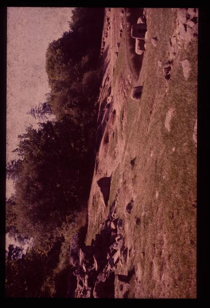 An image from the Dartmoor Trust Archive