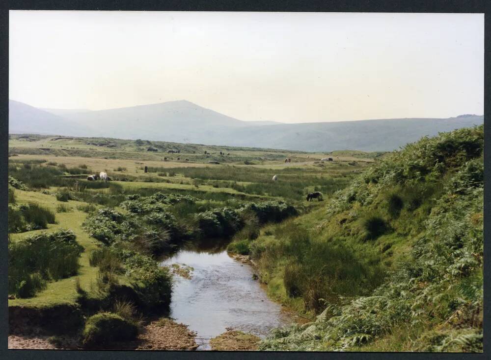 An image from the Dartmoor Trust Archive