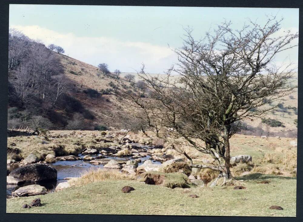 An image from the Dartmoor Trust Archive