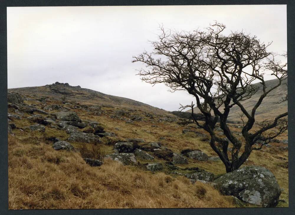 An image from the Dartmoor Trust Archive